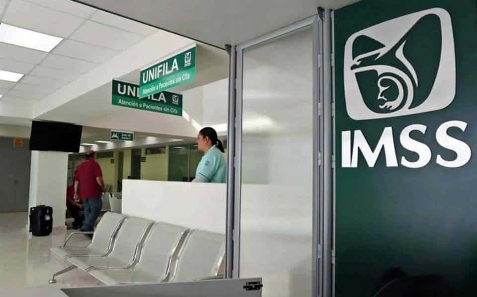 Trabajador independiente IMSS