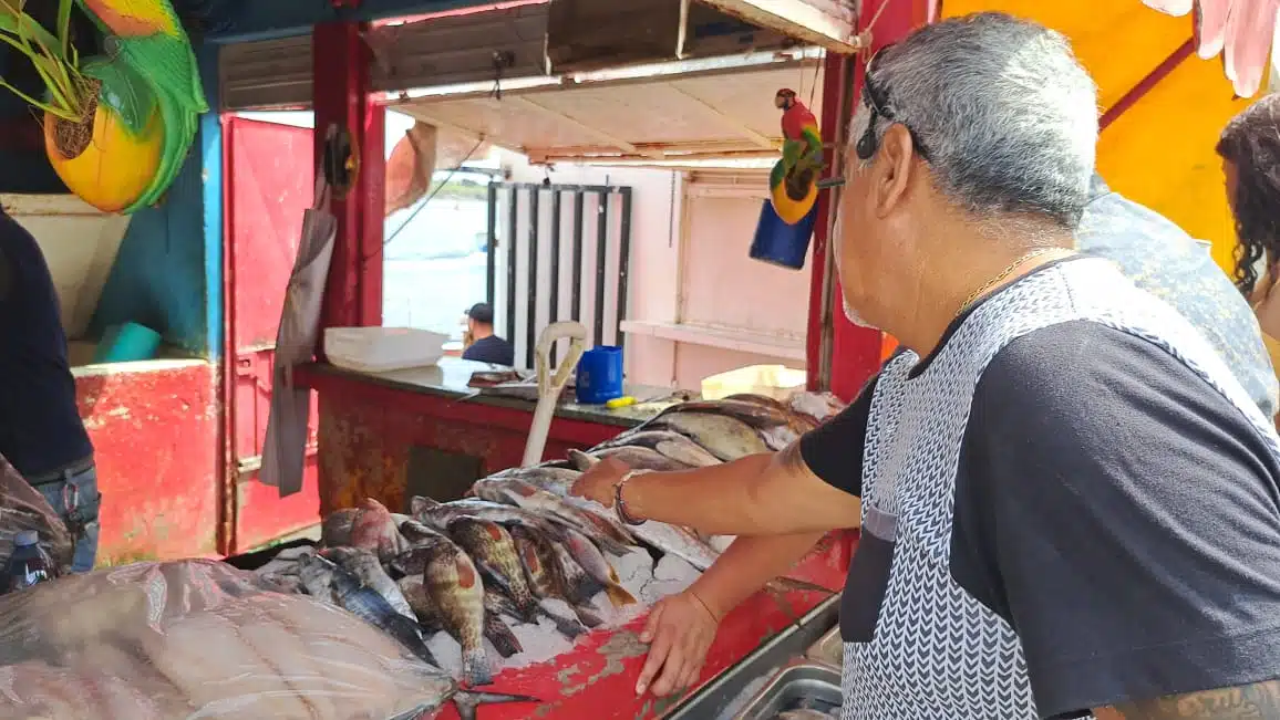 ¿Tradición perdida? No repunta la venta de pescados y mariscos en el mercado de la Isla de la Piedra