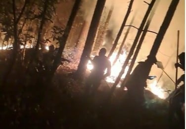 Incendio forestal