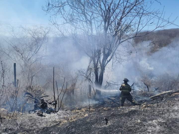 Incendio de maleza cerró visibilidad a conductores que pasaban por El Quelite