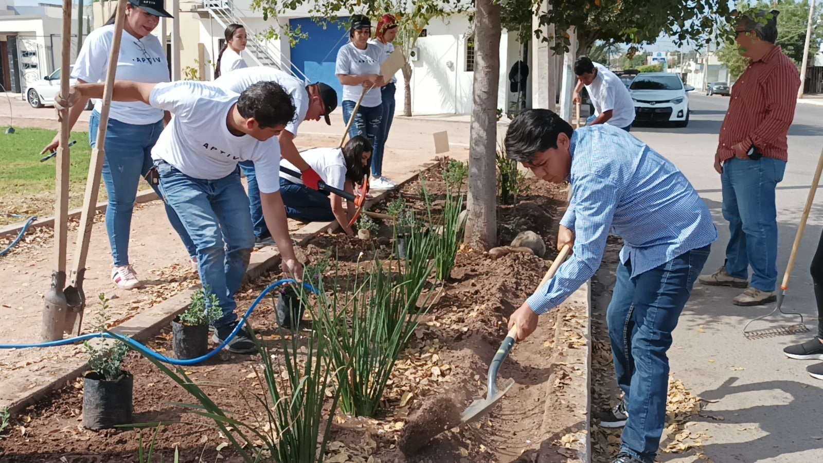 En junio empezarán a plantar árboles en el Jardín Botánico de Guamúchil