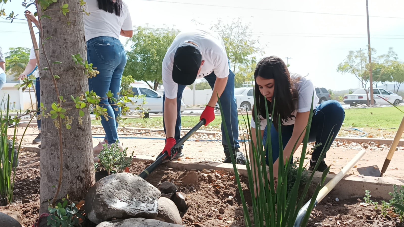 En junio empezarán a plantar árboles en el Jardín Botánico de Guamúchil