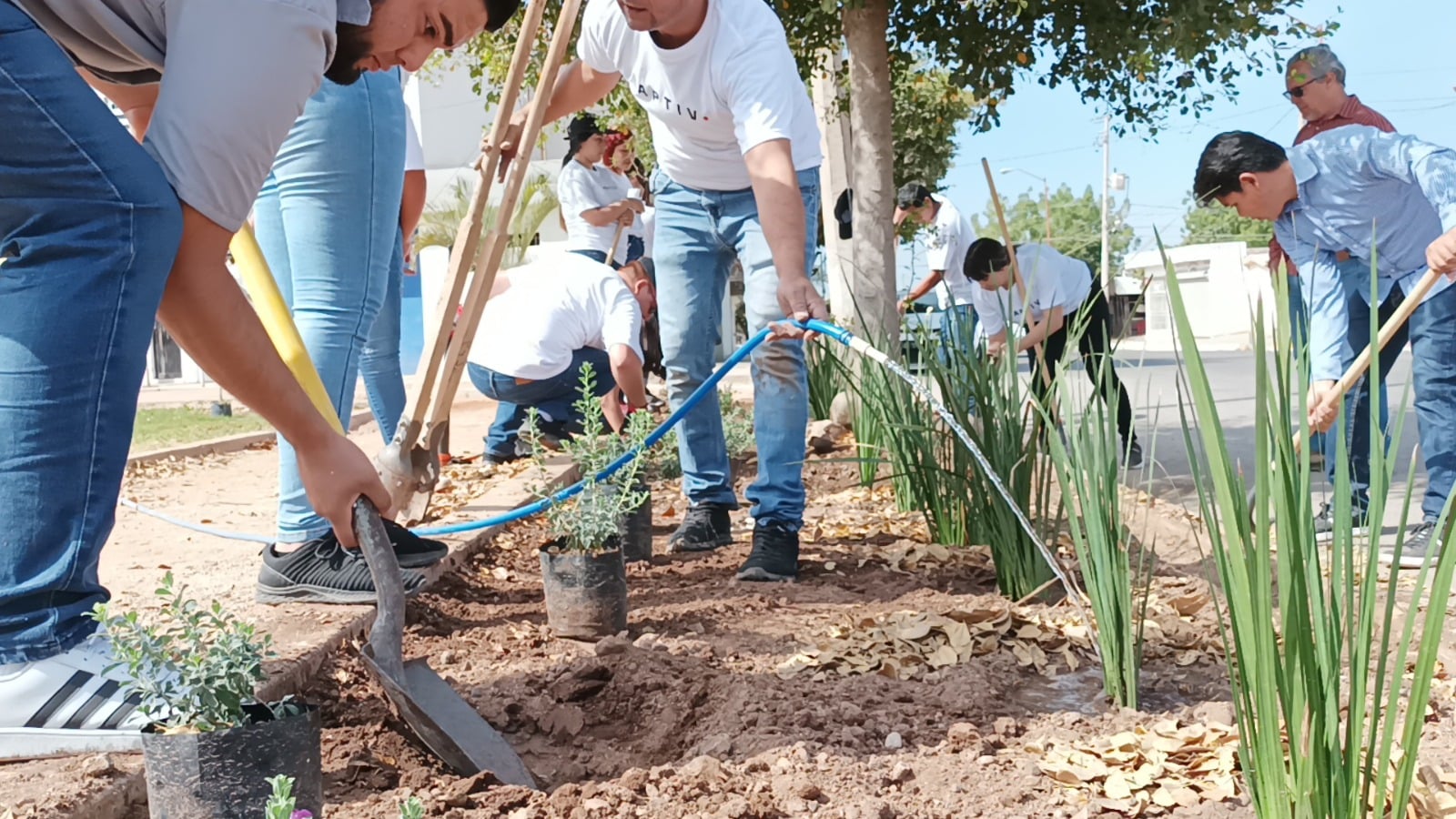 En junio empezarán a plantar árboles en el Jardín Botánico de Guamúchil