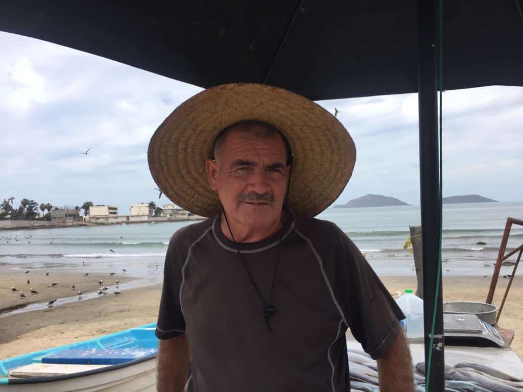 Ya comenzó a llegar el Pajarito a Mazatlán 