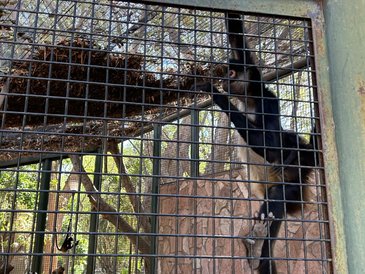 Zoológico de Culiacán