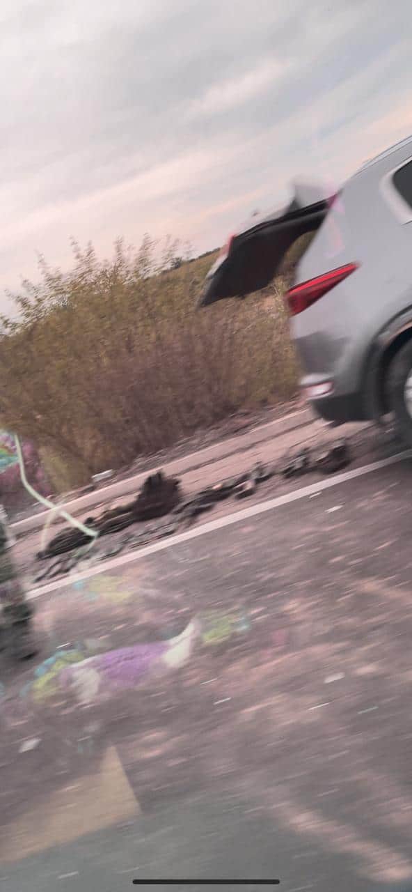 Iban bien armados los hombres que escaparon y dejaron tigre abandonado en la Maxipista
