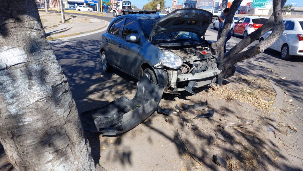 impacto contra un árbol-mazatlan