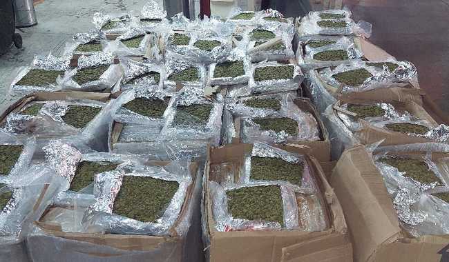 Marihuana por paquetería