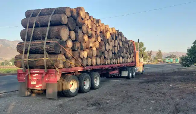 madera ilegal