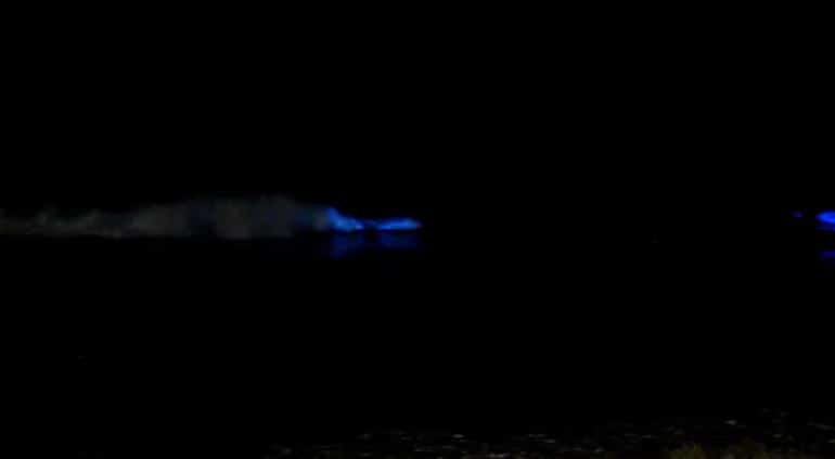 ¡Espectáculo nocturno! Captan bioluminiscencia en el puerto de Mazatlán; así fue el momento