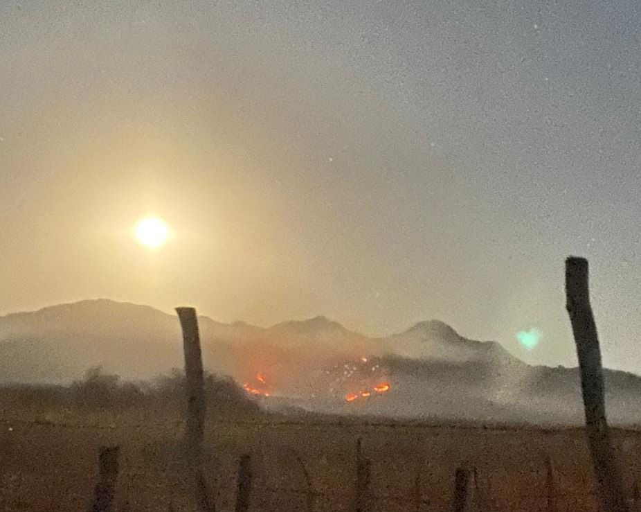 ¡Devastada la sierra sinaloíta! Van cinco incendios forestales en menos de un mes