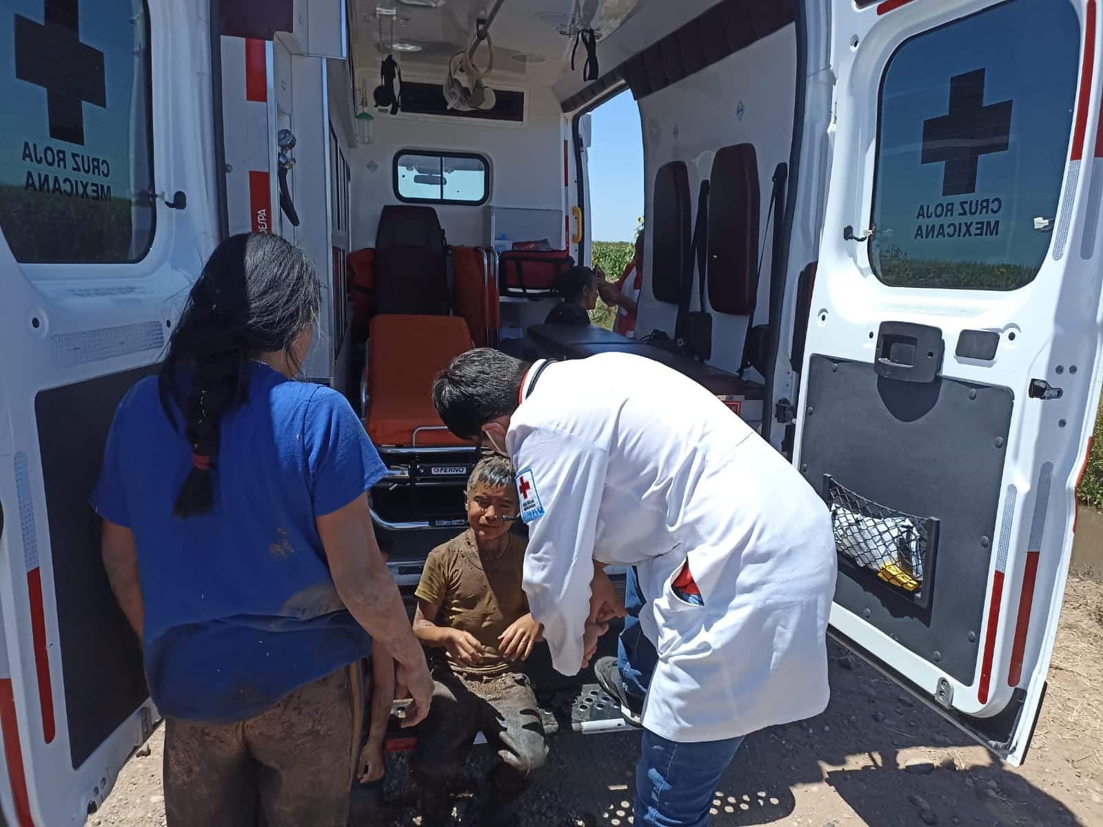¡Había cinco niños! Abejas atacan a familia completa en Angostura; aprovechaban la sombra de un árbol