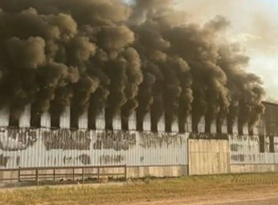 ¡Impactante! Se registra explosión e incendio en granja; mueren 18 mil vacas lecheras