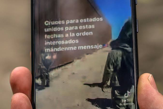 ¡Increíble! Usan TikTok para promocionarse como polleros