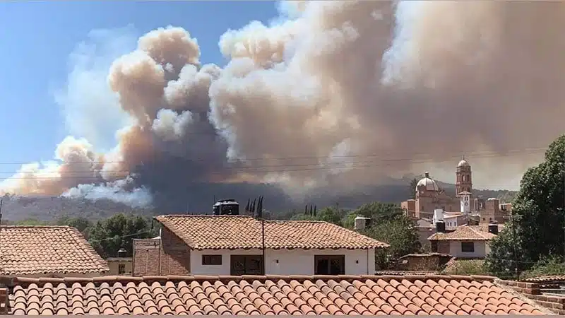 ¡Tragedia! Fallece joven brigadista que combatía el fuego en incendio de Tapalpa