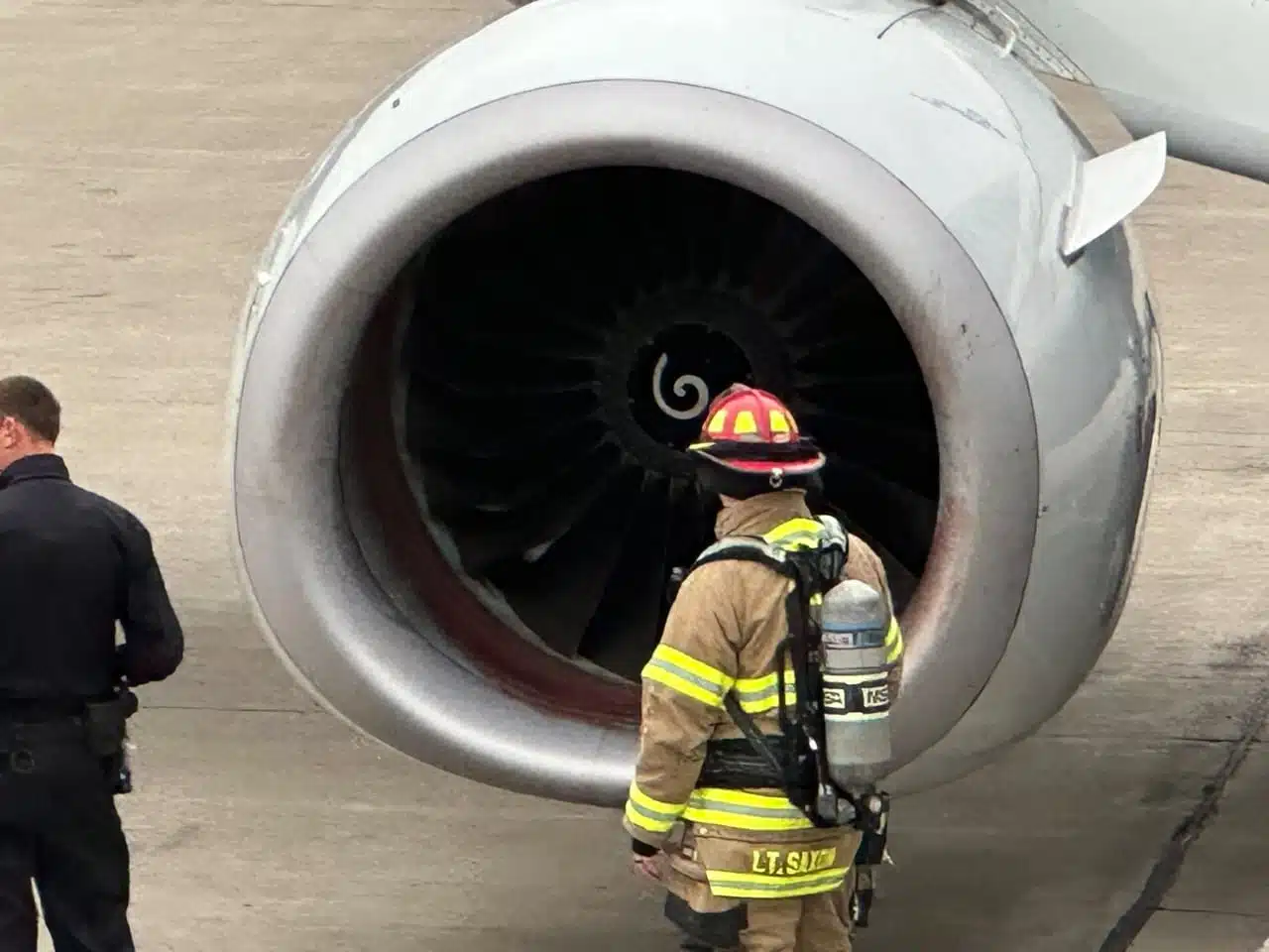 ¡Tremendo susto! Pájaro choca contra la turbina de un avión y causa un incendio