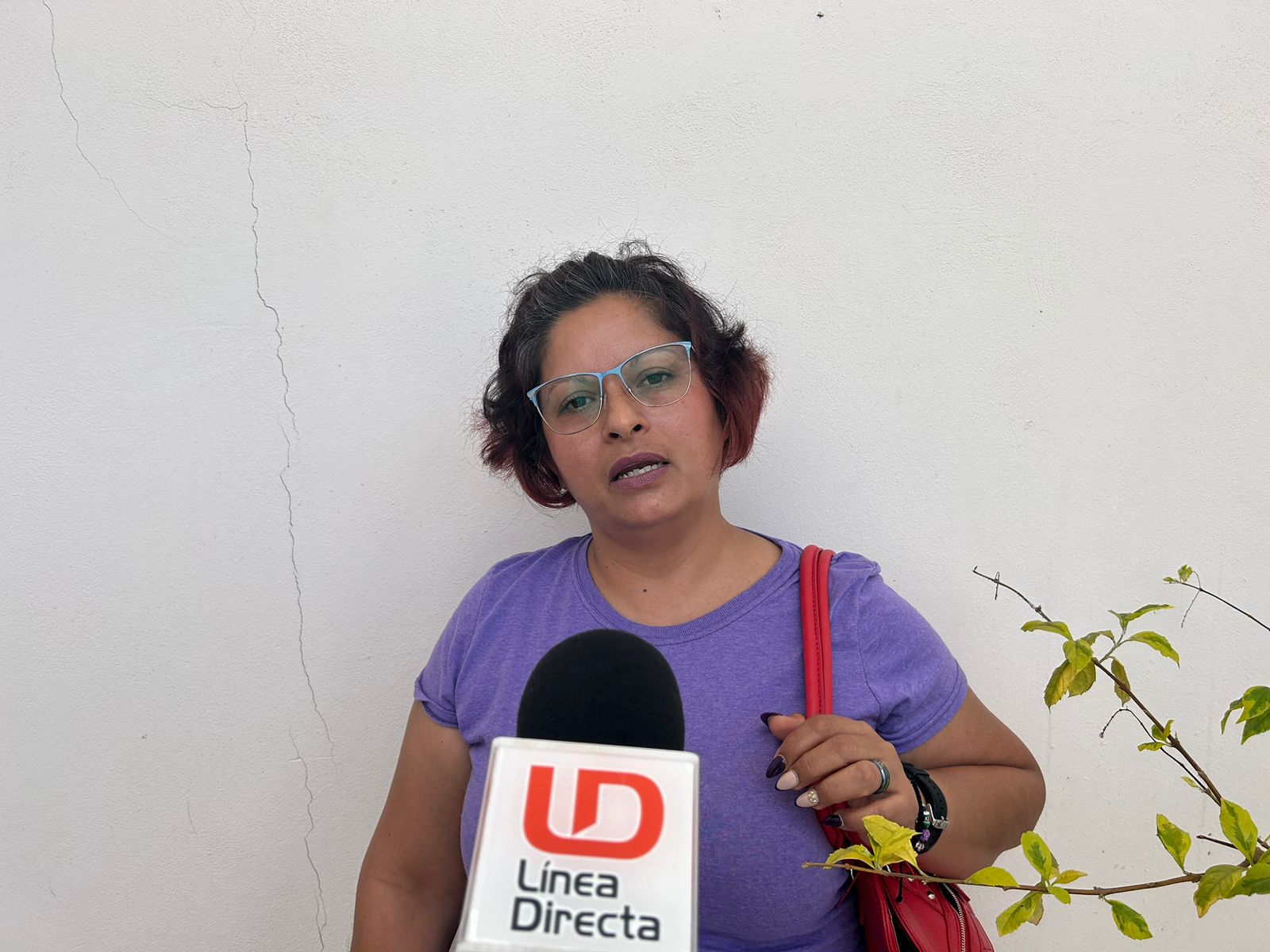 Caso Reyes Nuñez Zazueta