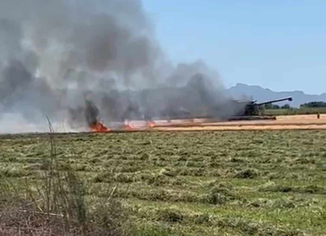 Incendio en predio con trigo en El Fuerte
