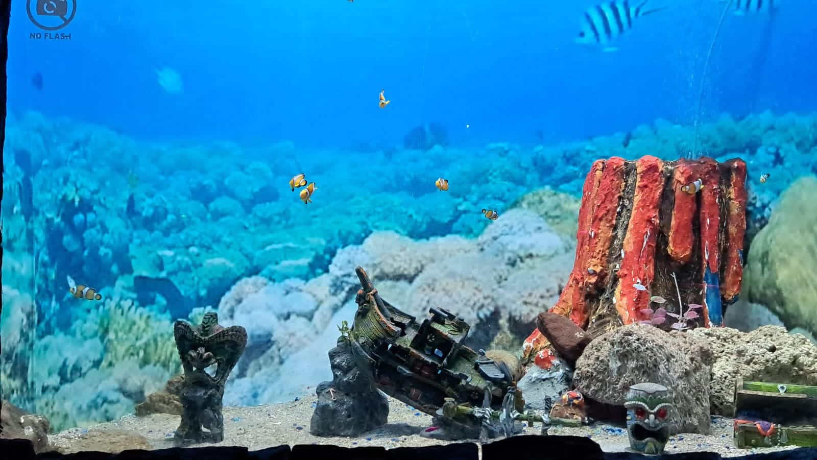 Acuario Mazatlán