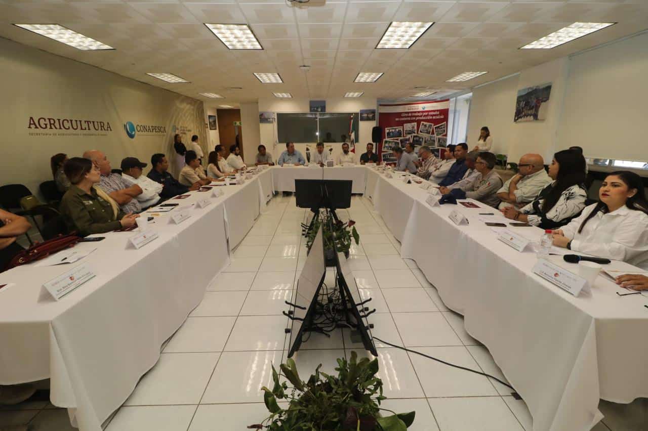 Anuncia Conapesca cursos a pescadores sobre excluidores de tortugas y peces