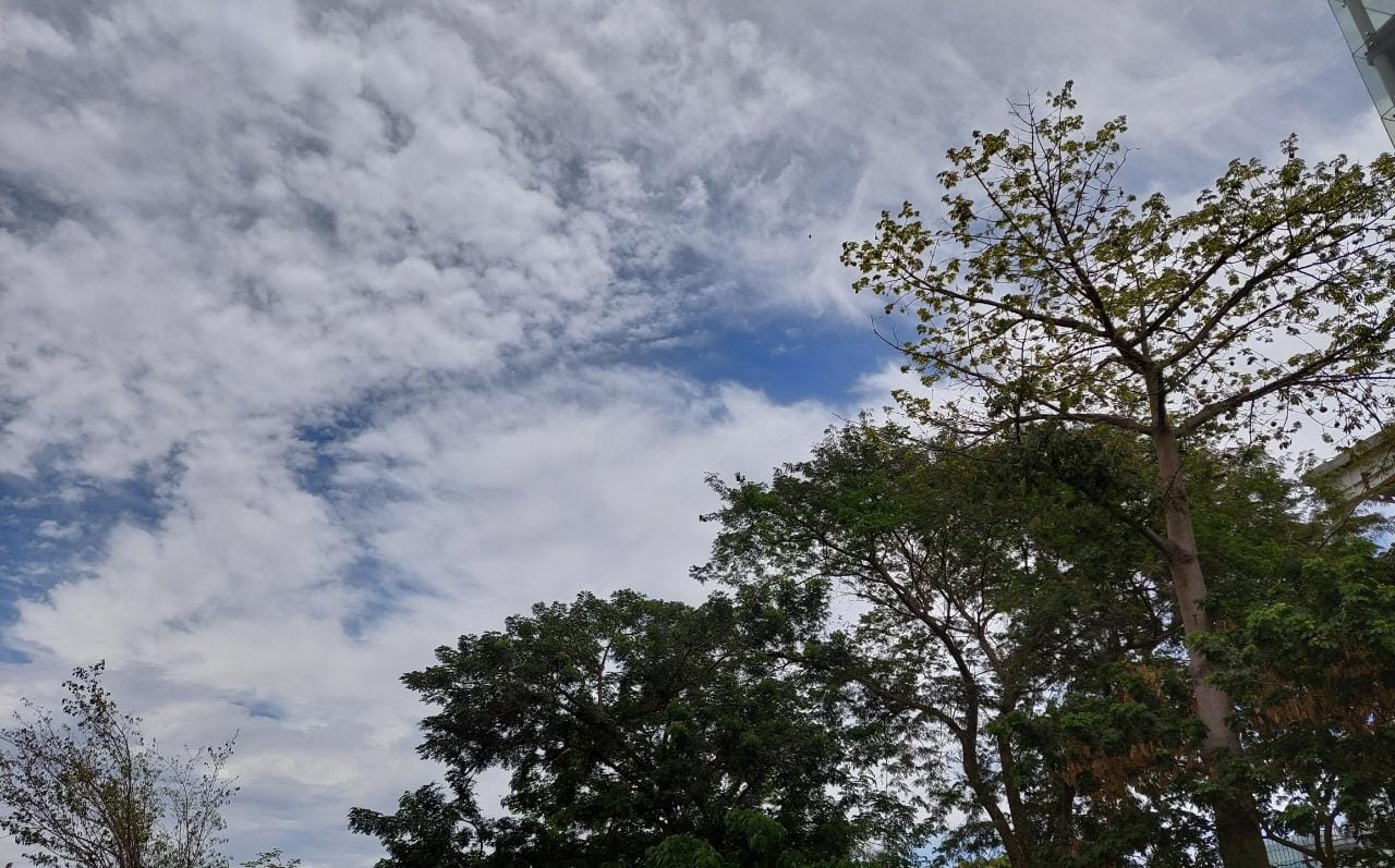 CLIMA CULIACÁN