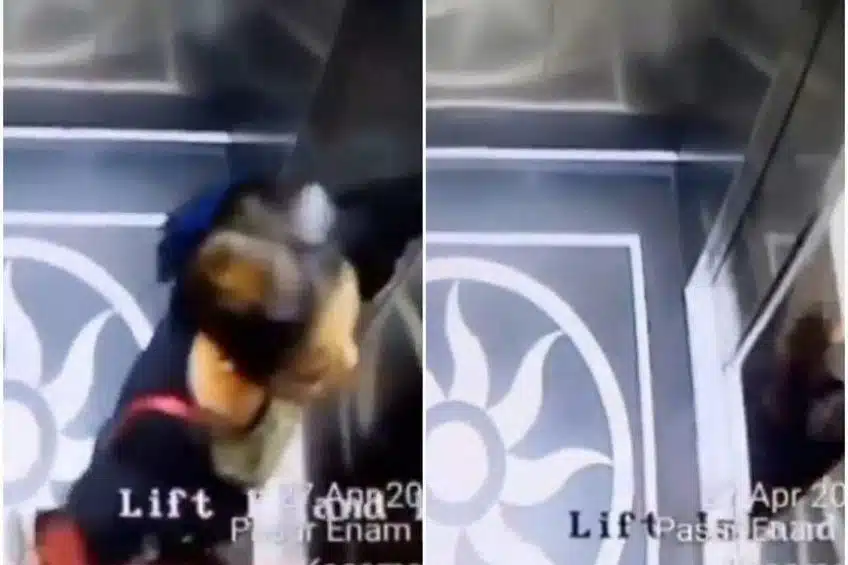 Cayó al vacío tras salir de un elevador; muere joven mujer