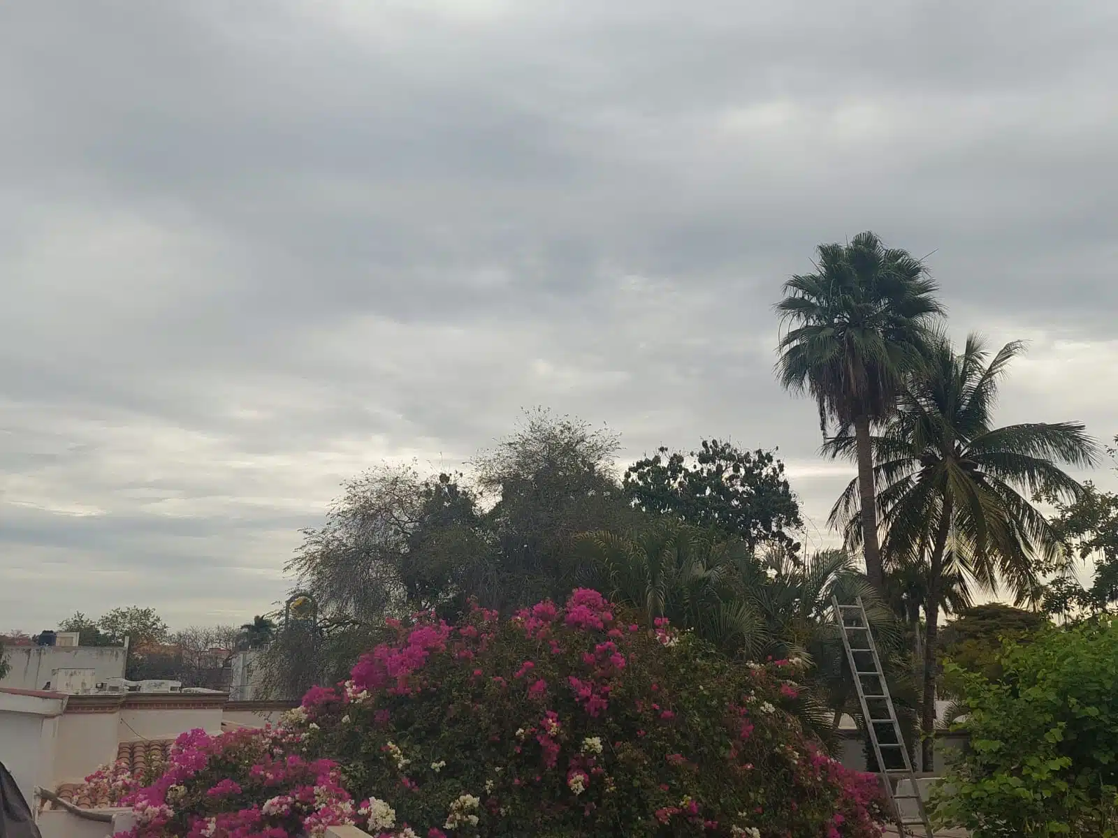 Clima nublado Sinaloa