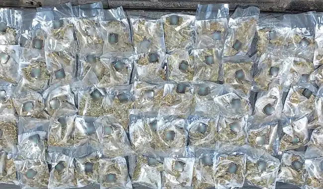 Dosis de droga decomisadas por la Guardia Nacional