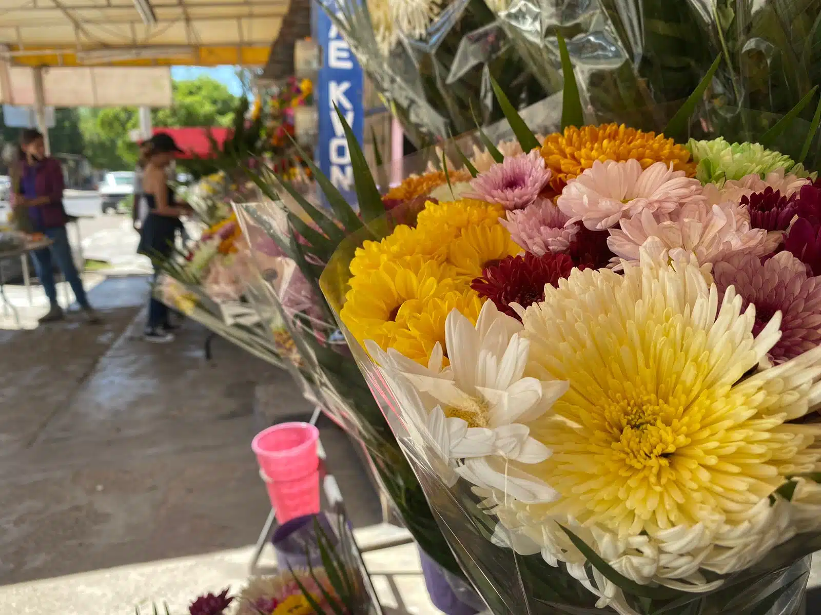 Hasta un 300% prevén que repunte la venta de flores por Día de las Madres en Mazatlán