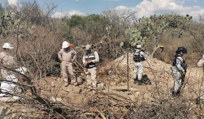 HUACHICOLEROS HIDALGO