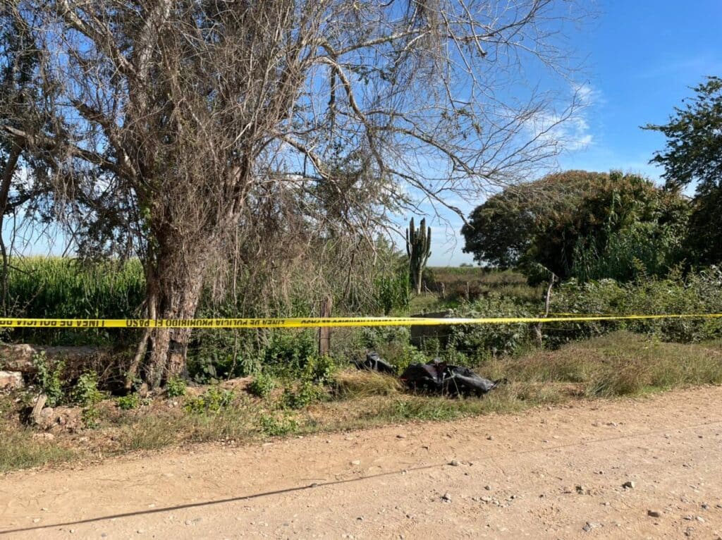 Homicidio Quila Culiacán