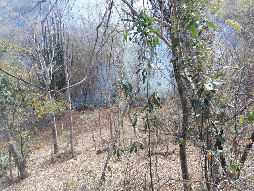 Incendio forestal Imala