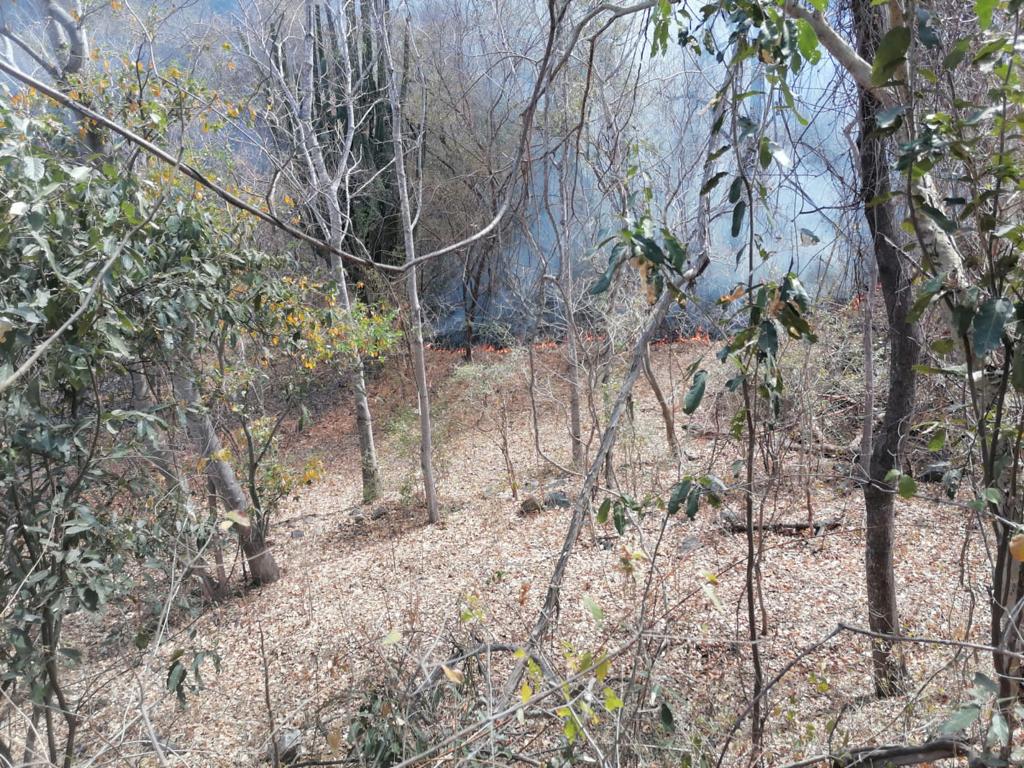 Incendio forestal Imala