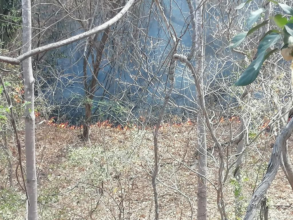 Incendio forestal Imala