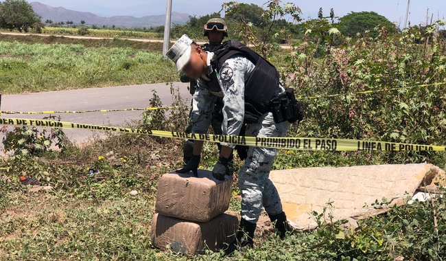 Marihuana Nayarit GN