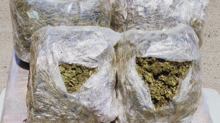 Marihuana decomiso droga