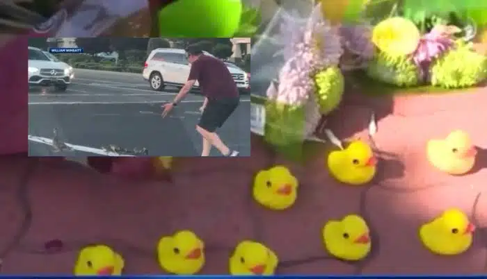 Muere atropellado tras ayudar a patos a cruzar la calle en California
