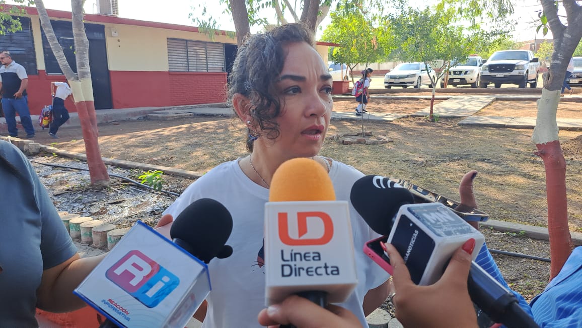 ¡Han muerto perros por insolación! Sus dueños los tenían en azoteas: Ecología Mazatlán