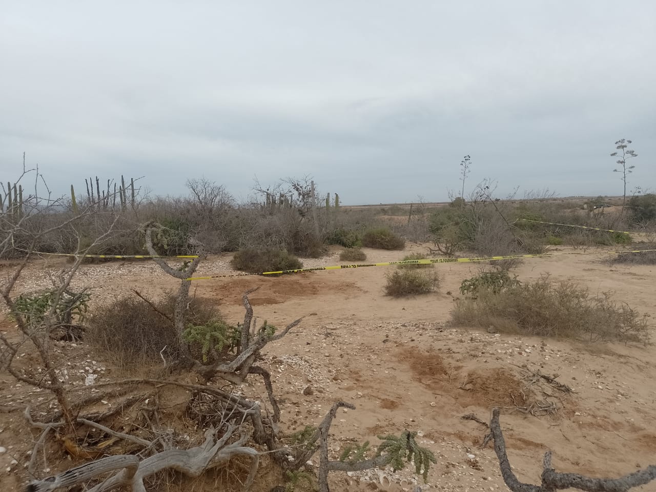 En Guasave hay más de 28 cuerpos y restos humanos que están sin identificar
