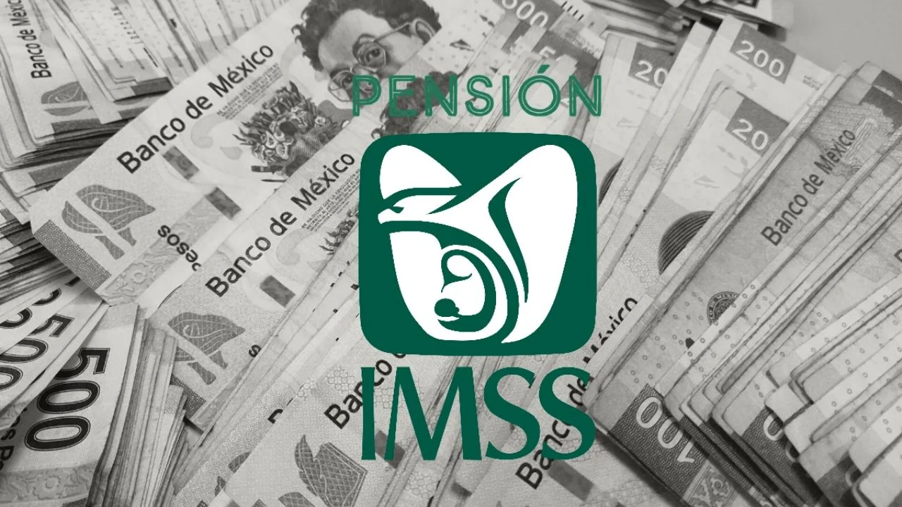 Dinero y el logo del IMSS