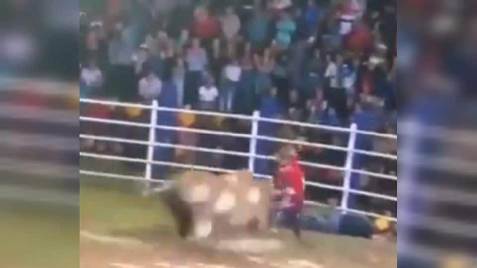 Toro salta valla de seguridad en Guatemala