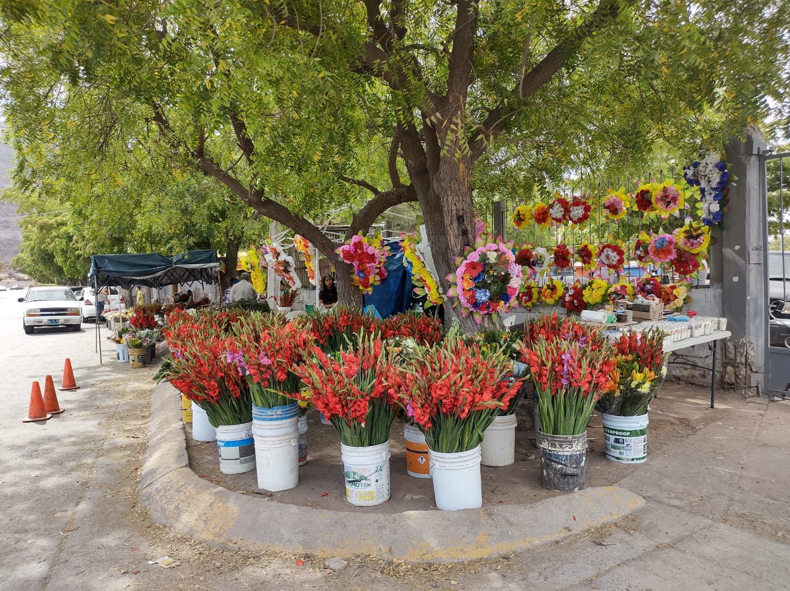 Venta de flores Ahome