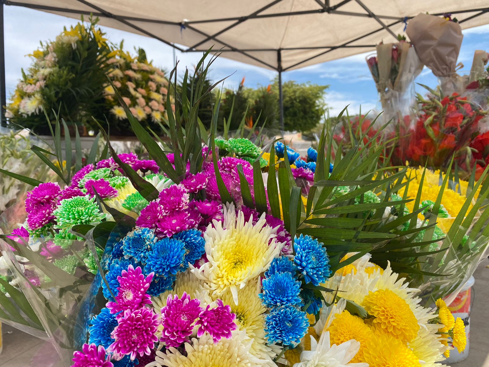 Venta de flores Guasave
