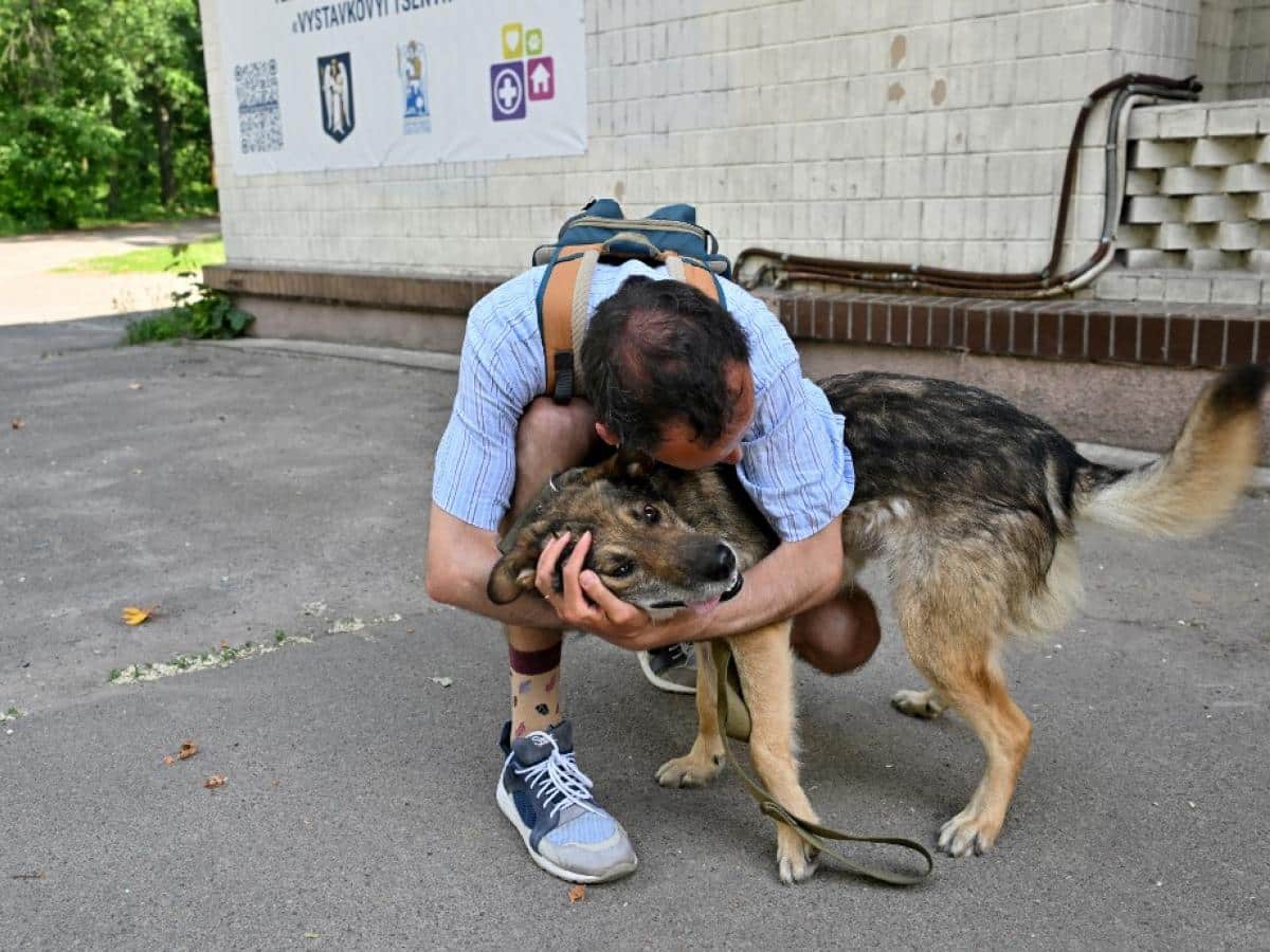 Veterinarios rescatan a decenas de animales abandonados por la guerra en Ucrania