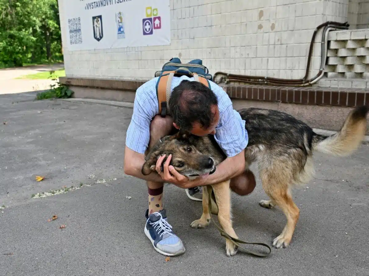 Veterinarios rescatan a decenas de animales abandonados por la guerra en Ucrania