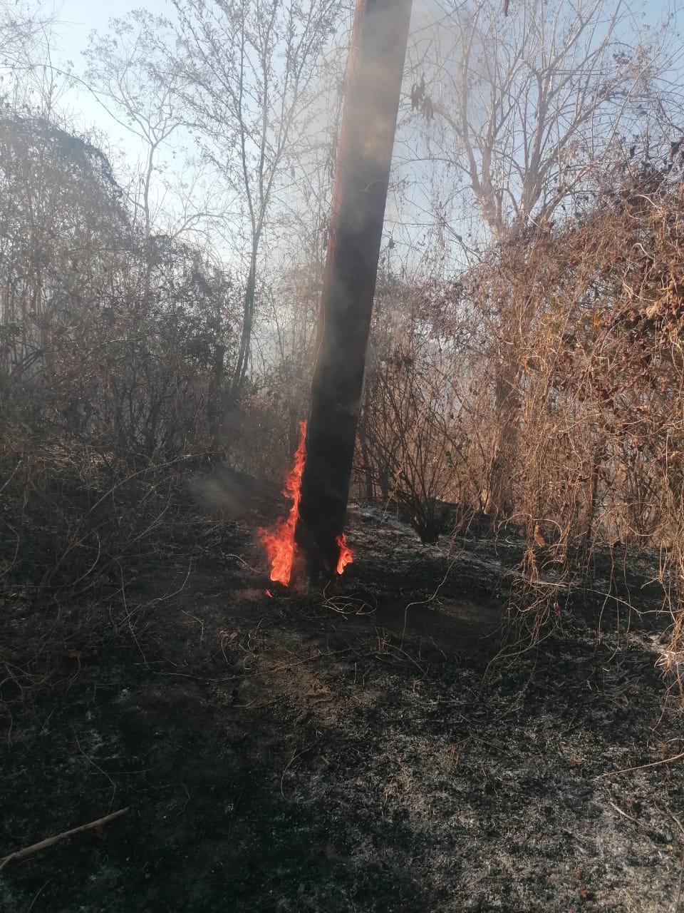 ¡No cesan! Reportan incendio sin control en sierra de Malpica, Concordia; tiene tres días ardiendo