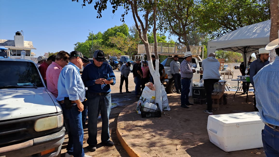 productores de Sinaloa se judicialicen (1)