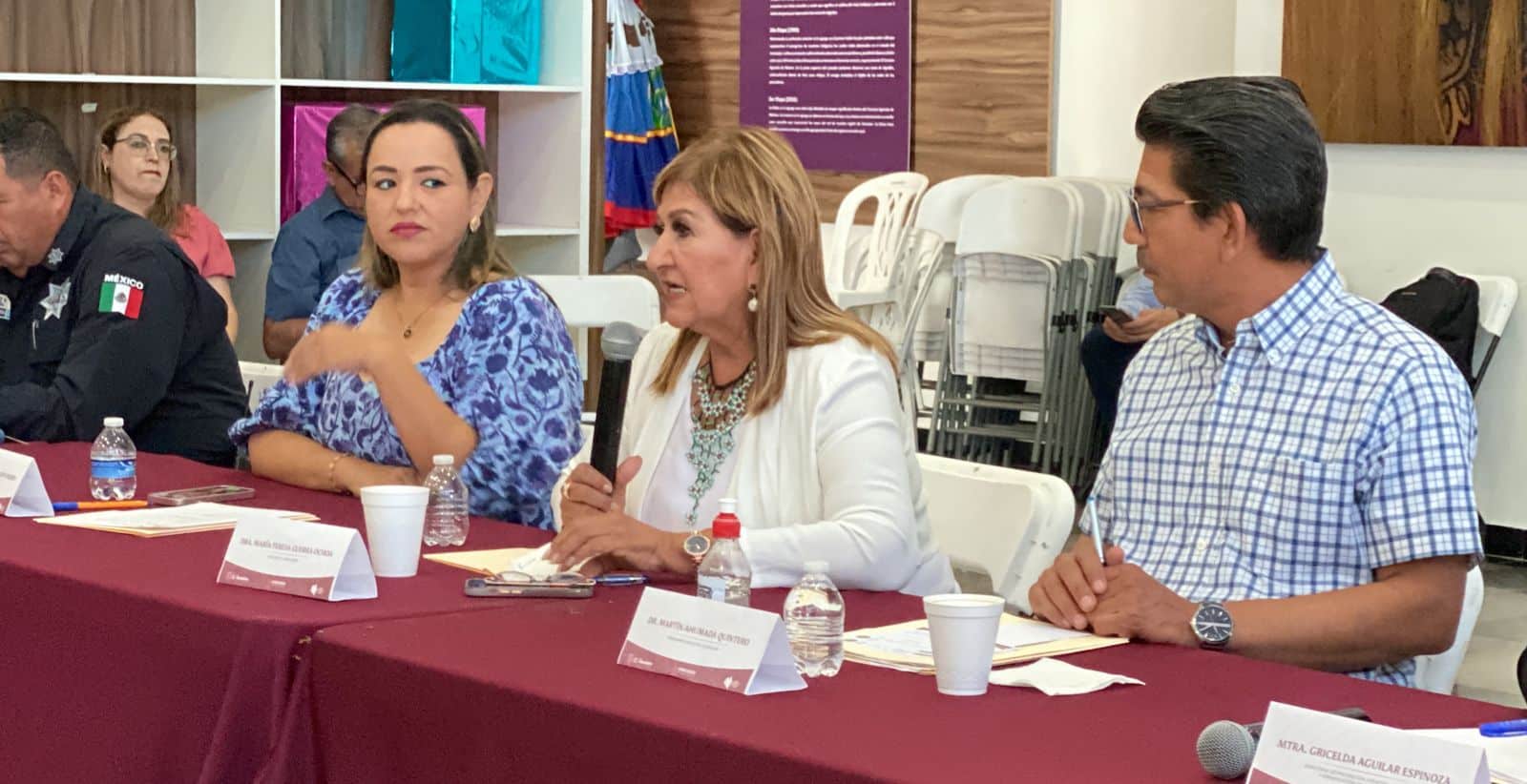 ¡Atentos! En Sinaloa se castiga la violencia digital, pero falta la policía cibernética: Tere Guerra
