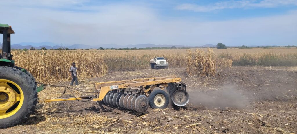 Incendio consume trilladora en medio de las siembras de maíz a punto de cosecharse, en Elota