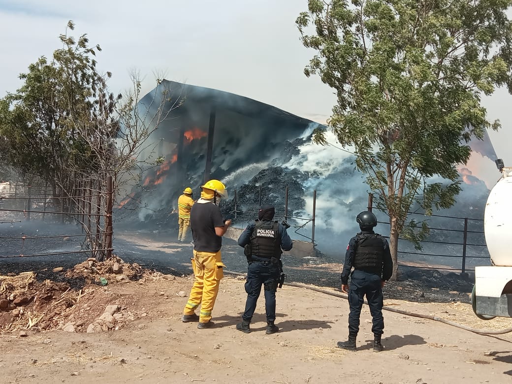 Fuego acaba con 20 mil pacas y otro incendio con una trilladora durante cosecha de maíz, en Elota